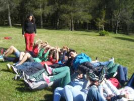 BRIÑAS DBH 1D-E